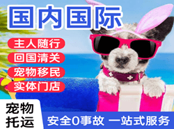 梅州机场快递国际宠物托运 【国